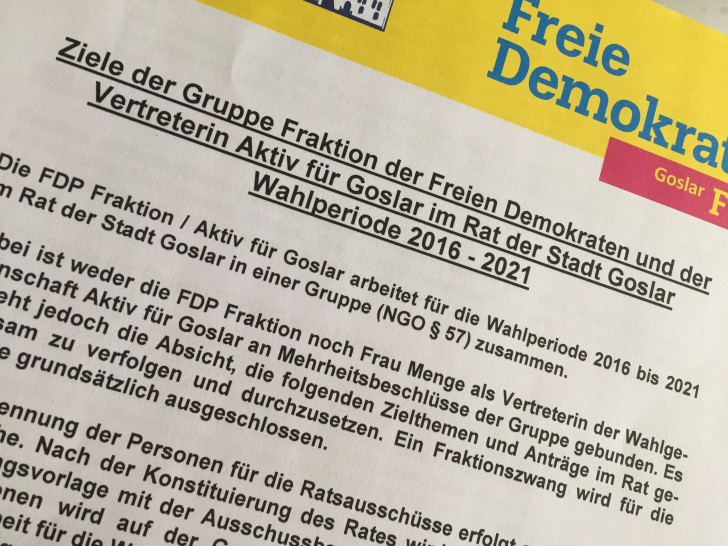 Ein Programm für die Arbeit der neuen Gruppe im Rat, "Freie Demokraten / Aktiv für Goslar", wurde von den Vertretern ausgearbeitet. Foto: Alec Pein