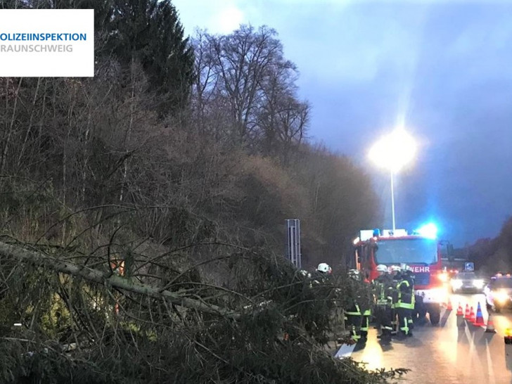 Der Sturm ließ einen Baum auf die Fahrbahn stürzen, dem eine Fahrzeugführerin nicht mehr ausweichen konnte. Foto: Polizei