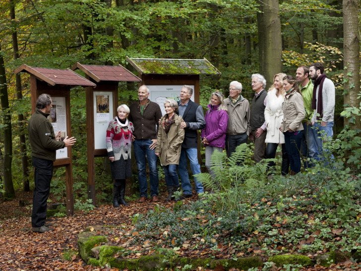 Foto: Landesforsten