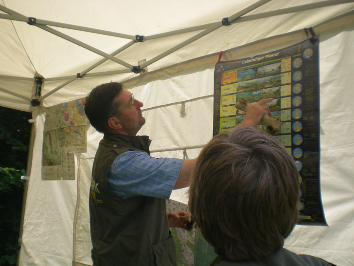 Christian Böttrich erläutert während einer Schulexkursion in den Elm, dass es in der Erdgeschichte eine Vielzahl von unterschiedlichen Klimaphasen gab. Fotos: Insa den Vries