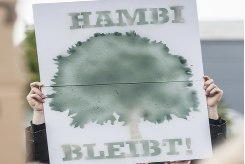 Greenpeace Braunschweig äußert sich zu den Plänen in Bezug auf den Hambacher Forst und kündigt für den morgigen Samstag eine Demonstration auf dem Schlossplatz in Braunschweig an. Quelle: Greenpeace Braunschweig