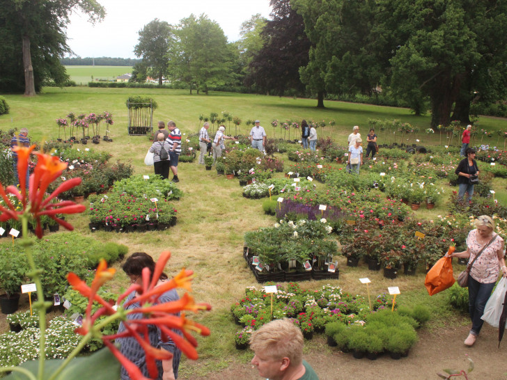 An diesem Wochenende kommen Gartenfreunde beim "Gartenzauber im Park" wieder voll auf ihre Kosten. Fotos: Anke Donner 