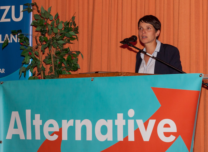 Frauke Petry sprach am Samstag im Lindenhof über das Parteiprogramm der Alternative für Deutschland und stellte sich anschließend einigen Fragen der Besucher. Foto: Alec Pein