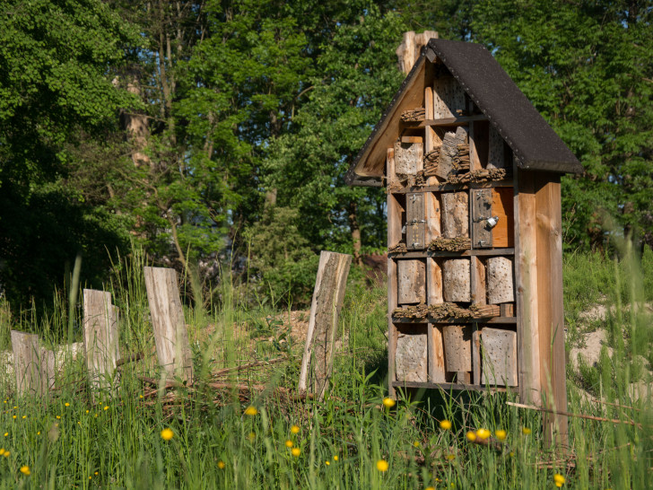 Im Naturschutzgebiet Riddagshausen gibt es sie bereits: Wildbienenhotels. Besucherinnen und Besucher des 2. Blumenmarkttages erfahren, wie sie sich ein Wildbienenhotel für ihren eigenen Garten bauen können. Foto: Braunschweig Stadtmarketing GmbH
