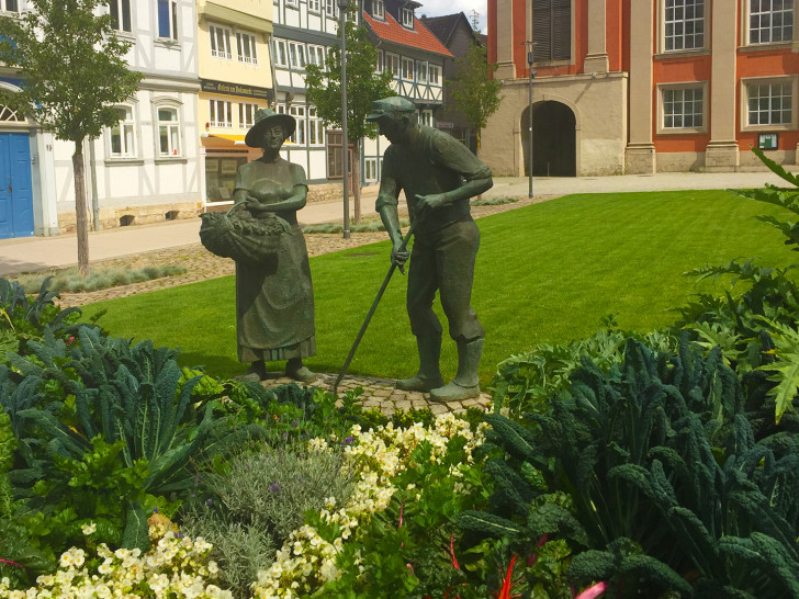 Es wächst und gedeiht vor der Trinitatiskirche. Fotos: Stadt Wolfenbüttel