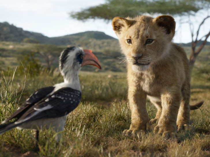 Der kleine Löwe Simba kämpft auch in der Realverfilmung um sein Geburtsrecht als "König der Löwen". Foto: Disney Enterprises, Inc.