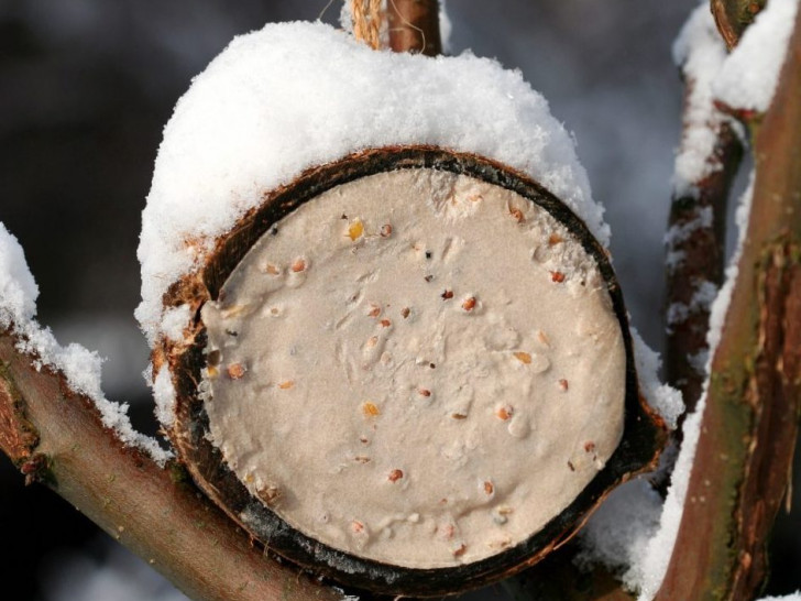 Fettfutter für Vögel zur Winterszeit. Foto: NABU/Helge May