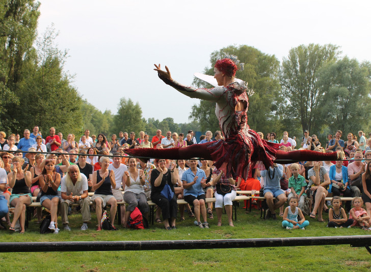 Akrobatik beim Schloss-Spektakel 2014. Foto: Christina Balder