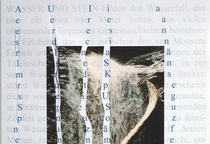 Rolf Steiner, Blüte, aus: 6 Blüten, Mappe mit 6 beschrifteten
Fotografien (Siebdruck) und 6 Textblättern, Köln 2010. Foto: HAB