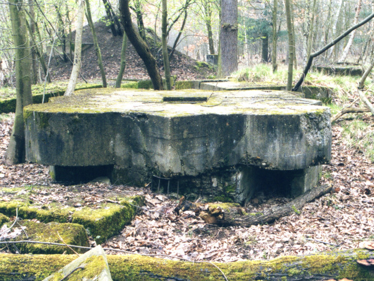 Eine Bunkeranlage im Querumer Forst.  Foto: Stadt Braunschweig