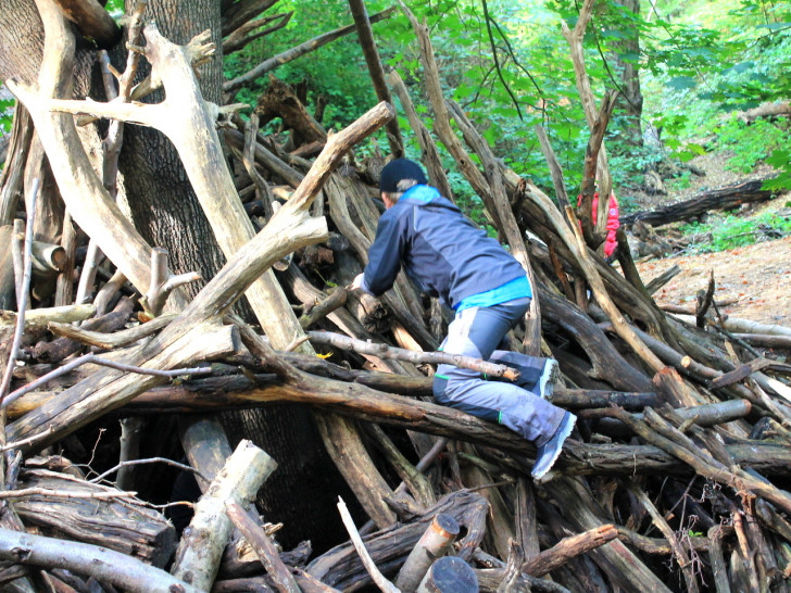 Abendteuer Wald für Kinder. Foto: Stadt Wolfenbüttel