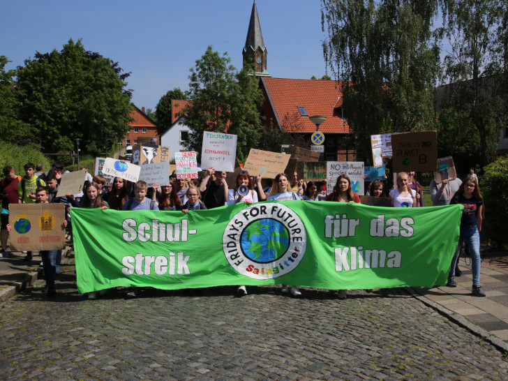 Die Demonstration lief in Salzgitter weitestgehend ruhig ab. Fotos: Rudolf Karliczek