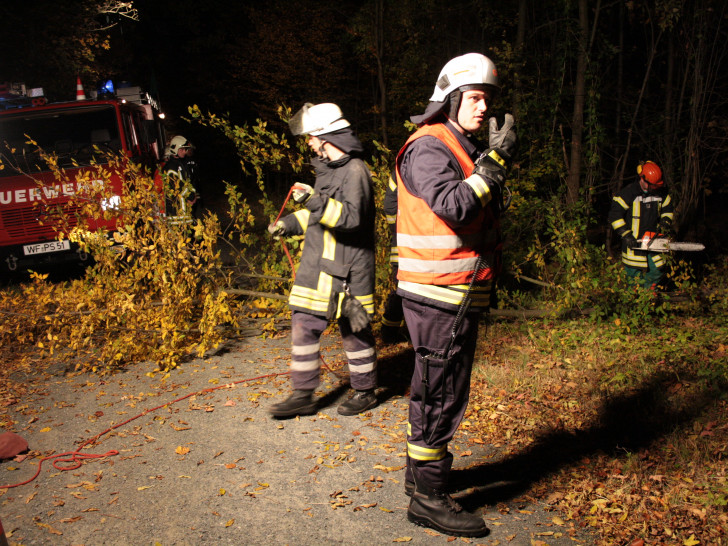 Für den Ernstfall üben die Feuerwehren auch das Szenario eines Waldbrandes. Foto: Werner Heise / Archiv 