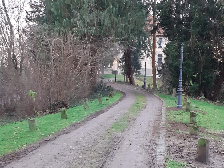Der Weg zur Seeliger-Villa wird zukünftig beleuchtet sein. Foto: SPD Wolfenbüttel