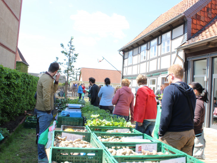Am Sonntag öffnet das Gärtnermuseum zum Verkauf von Saatkartoffeln. Symbolbild. Foto: Anke Donner