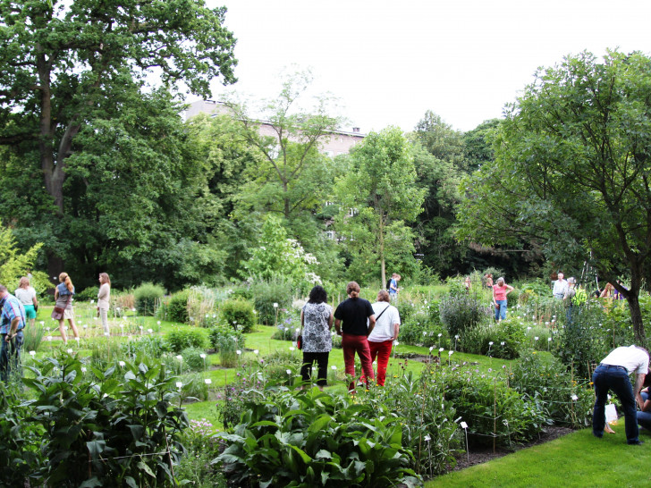 Der Botanische Garten. Foto: TU Braunschweig