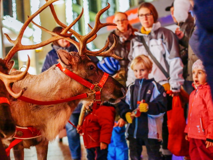 Rudolph das Rentier auf dem Weihnachtsmarkt in Wolfsburg. Fotos: WMG; Janina Snatzke