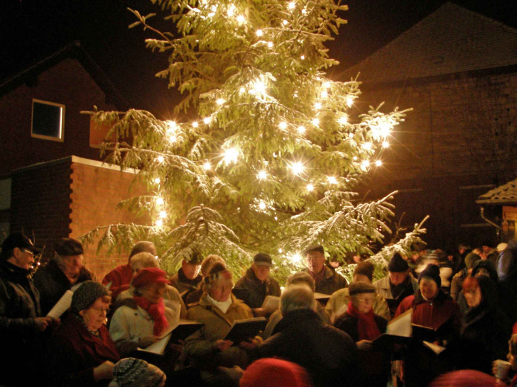 Der Weihnachtsbaum in Cremlingen wird bald geschmückt. Foto: Jörg Weber