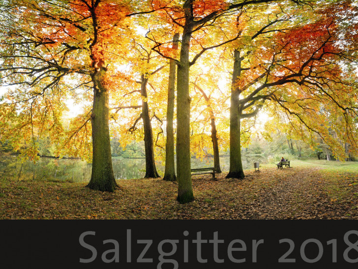 Das Deckblatt des neuen Salzgitter-Kalenders. Fotos: André Kugellis