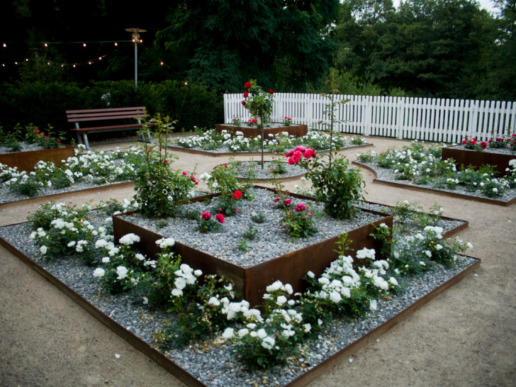 Auch der neu gestaltete Rosengarten kann besichtigt werden. Foto: Landkreis Gifhorn