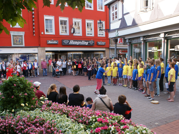 Schon 2013 belebten die internationalen Chöre die Wolfenbütteler Innenstadt.  So auch wieder in diesem Jahr. Foto: Anke Donner