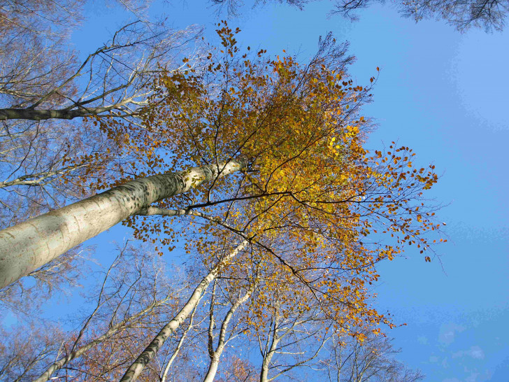 Foto: NABU/M. Gräwe