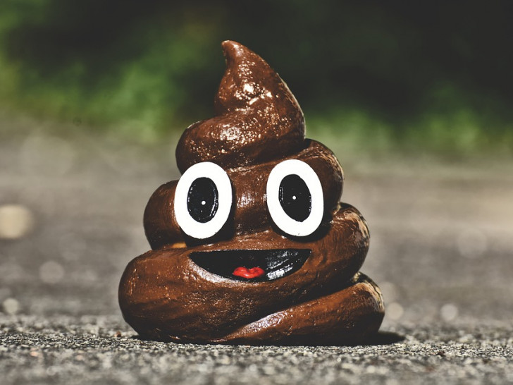 Nicht so witzig, wie es klingt: In der Nacht von Freitag auf Samstag kotete eine Person vor den Bahnhof und beschmierte dann die Fenster mit den Exkrementen. Symbolfoto: Pixabay