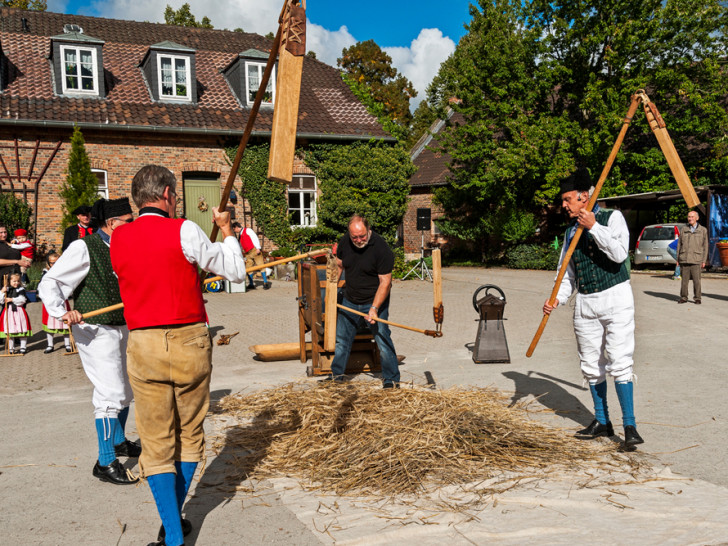 Dreschfest an der Historischen Brauscheune mit den Steinbekers, Foto: Stadtmuseum Wolfsburg