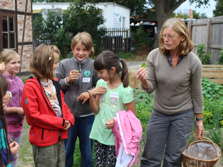 Beate Pieper vom Gärtnermuseum führt die Kinder durch den Kräutergarten. Fotos: Jan Borner