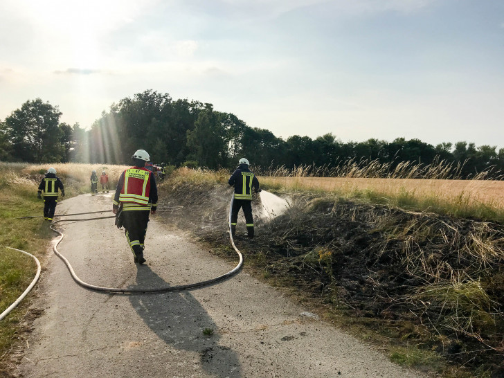 Die Feuerwehr hat dieser tage viel zu tun: Die Hitze sorgt für zahlreiche Brände in der Region. Fotos: Feuerwehr Stadt Bad Harzburg