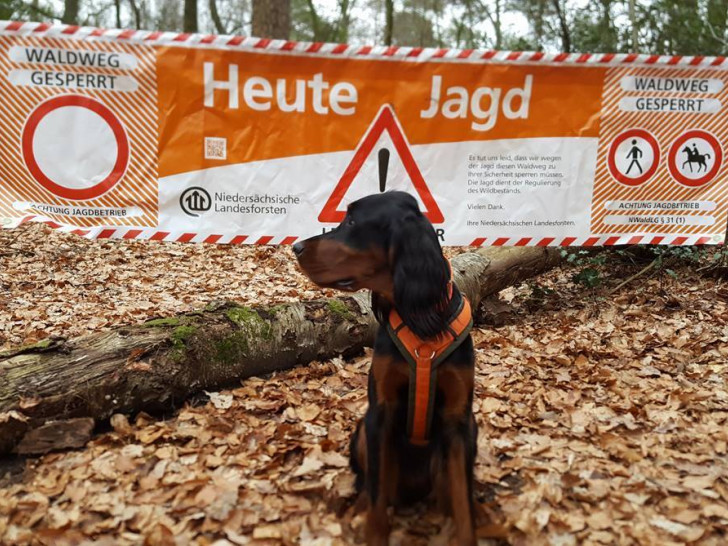 An solchen Bannern wird der Beginn des Jagdgebietes erkennbar sein. Foto: Niedersächsische Landesforsten