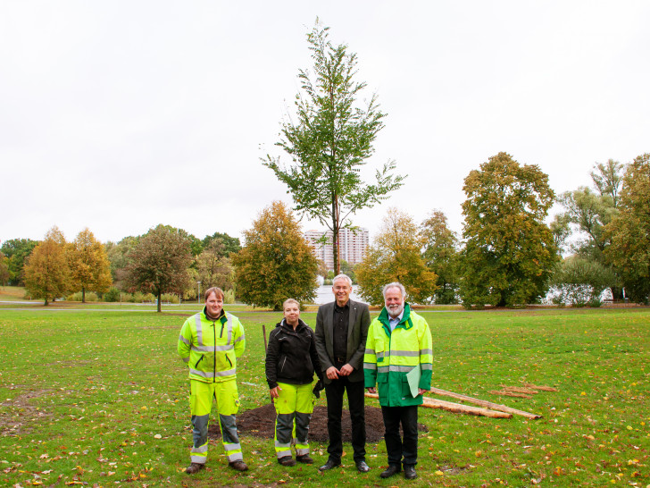 Stadtbaurat Kai-Uwe Hirschheide (zweiter von rechts) pflanzte gemeinsam mit Götz Stehr (rechts), Leiter des Geschäftsbereichs Grün der Stadt Wolfsburg, gemeinsam mit zwei Fachkräften aus der Grünpflege am Schillerteich einen Baum. Foto: Stadt Wolfsburg