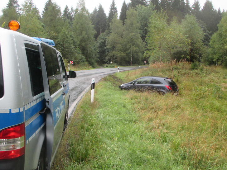 Der Wagen landete im Grünstreifen. Foto: Polizei