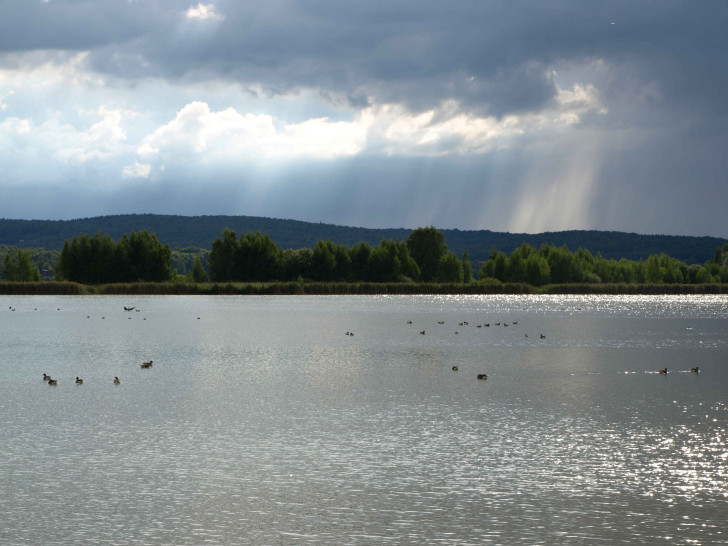 Der Heerter See ist vielen Vögeln eine Brut -und Raststätte. Foto: NABU/Marlies Gräwe
