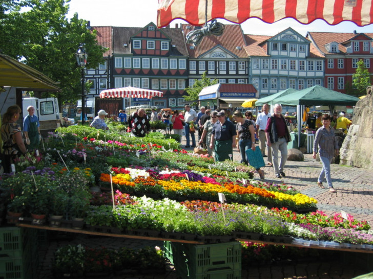 Der Wolfenbütteler Geranienmarkt - ein Veranstaltungshöhepunkt in der Gärtnerstadt. Foto: Veranstalter 