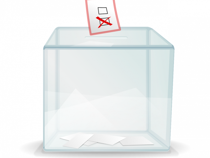 Horst Schiesgeries ist bei der Wahl des Bundespräsidenten dabei. Symbolbild: pixabay