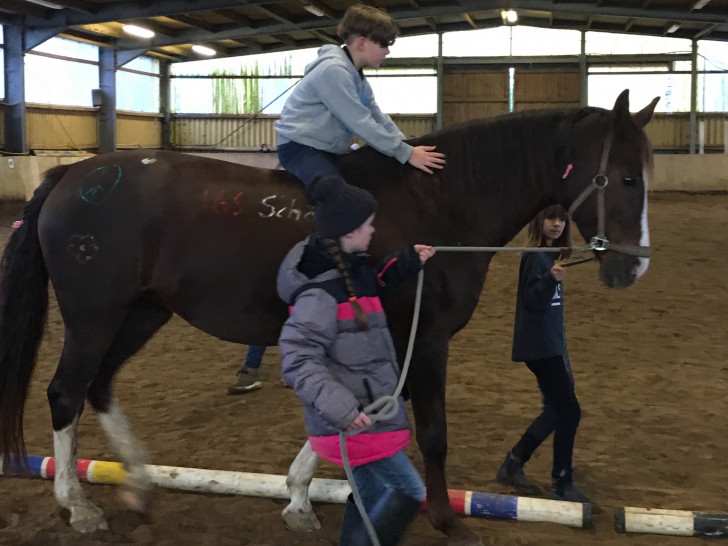 Die Schüler lernten einen handlungsorientierten Zugang zum Thema „Pferde“ kennen. Fotos: IGS Schöppenstedt
