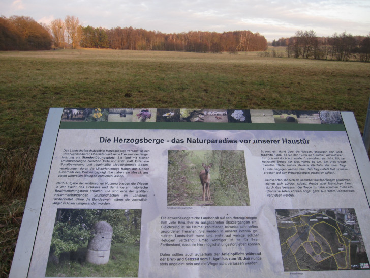 Bei der Tour können sich die Teilnehmer das Landschaftsschutzgebiet Herzogsberge aus nächster Nähe ansehen. Foto: ADFC Wolfenbüttel