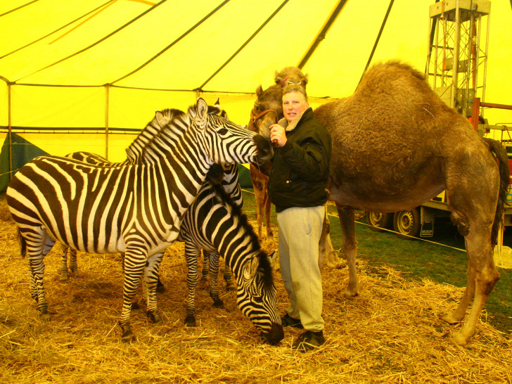 Nach Ansicht der  Grünen gehören Wildtiere nicht in den Zirkus. Foto: Archiv/Anke Donner