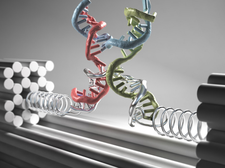 Künstlerische Darstellung der neuartigen "Nanoklammer" aus DNA-Strängen: In eine starre DNA Nanostruktur (graue Stangen) wird über eine Feder aus einzelsträngiger DNA (silberne Federn) das Zielmolekül eingespannt (hier eine DNA 4-Wege Kreuzung). Die durch die Kraft hervorgerufene Verzerrung der Struktur wird optisch detektiert. Grafik: Christoph Hohmann / LMU