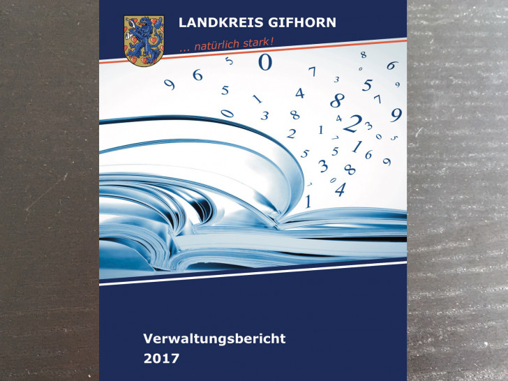 Der Verwaltungsbericht ist auf der Internetseite des Landkreises einsehbar. Foto: Landkreis Gifhorn