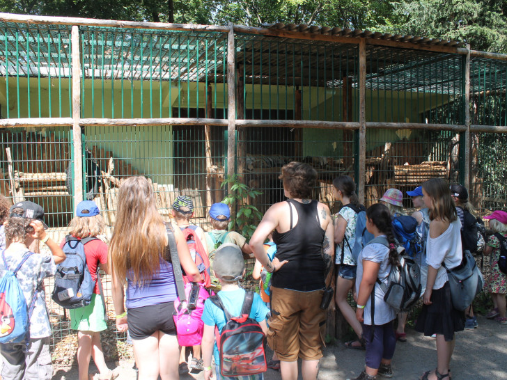 Zum Abschluss des Ferienkalenders stand eine Tagesfahrt zum Zoo in Aschersleben und zum Phaeno auf dem Programm. Foto: Privat