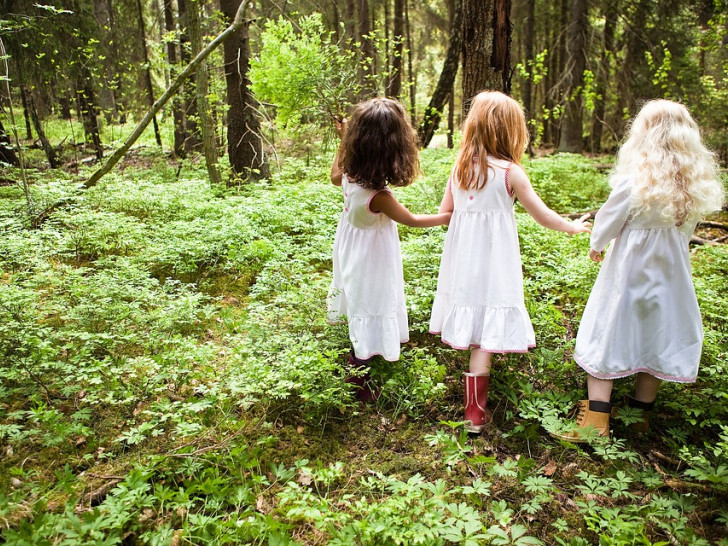 Schulkinder können auch in deisem Sommer wieder den heimischen Wald erkunden. Symbolfoto: pixabay
