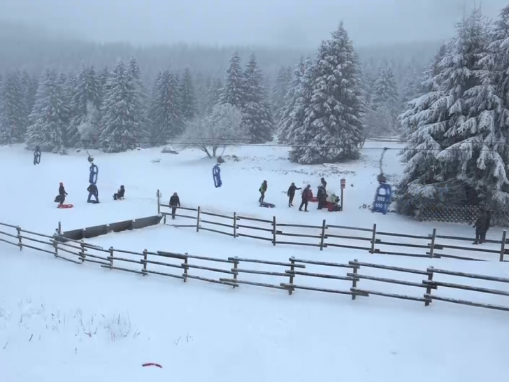 Weiße Weihnachten nicht nur im Oberharz - Noch sind die Würfel nicht gefallen. (Archivbild) 