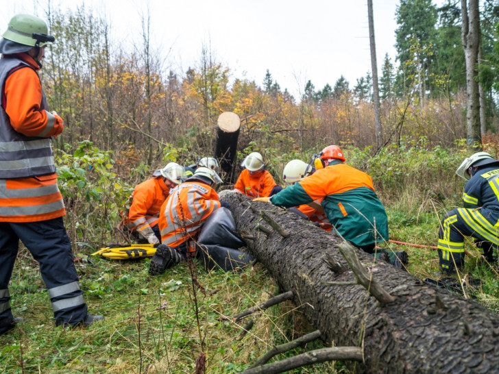 Durch die starken Orkanböen wurden etliche Bäume umgeworfen. Symbolfoto: Tobias Paschwitz, Freiwillige Feuerwehr Hohenhameln