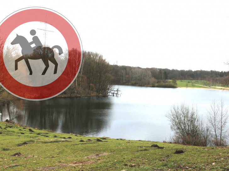 Der Blick vom Pferd auf den Heidberg könnte für Reiter bald nicht mehr möglich sein. Foto: Archiv/Pixabay