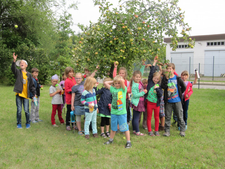 Die Ferienkinder begutachten den Apfelbaum der Landeskirche, dessen Äpfel leider noch nicht reif sind.