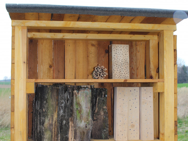 Auch private Grundbesitzer können den Bienen zum Beispiel durch den Bau von Nistkästen helfen. Symbolfoto: Nick Wenkel