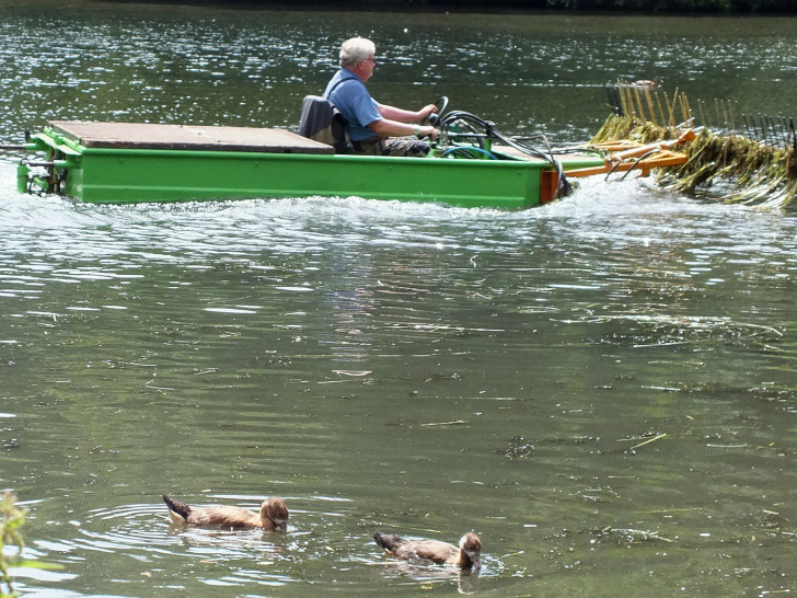 Wasserreinigung mit einem speziellen Boot. Foto: Achim Klaffehn