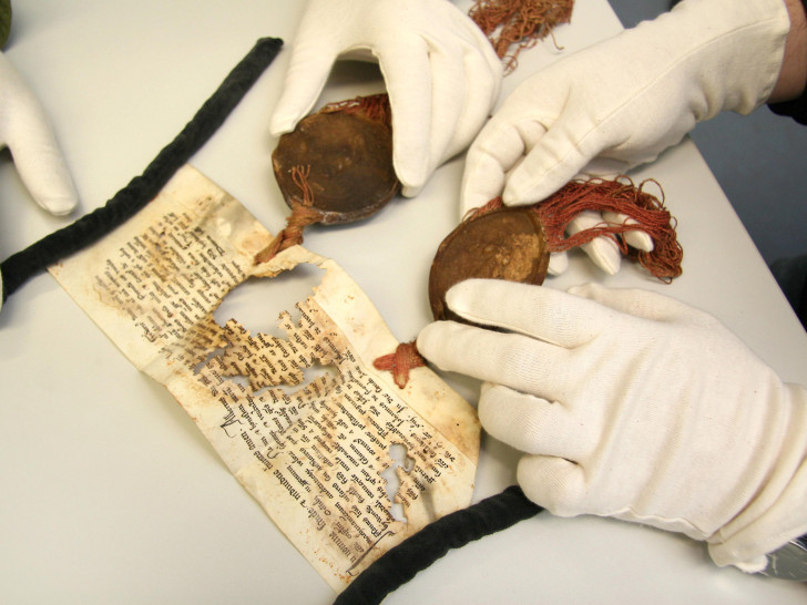 Fehlstellen und beschädigte Siegel an einer Urkunde des Domstifts von 1313. Foto: Martin Schenk